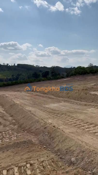 Bán Gấp Farm 60.000m² Đắk La, Kon Tum - Hồ Lớn, Sẵn Sàng Kinh Doanh