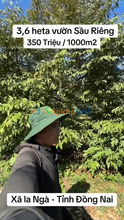 Bán Gấp Vườn Sầu Riêng 3.6ha Tại La Ngà, Đồng Nai - Giá Đầu Tư 12.6 Tỷ