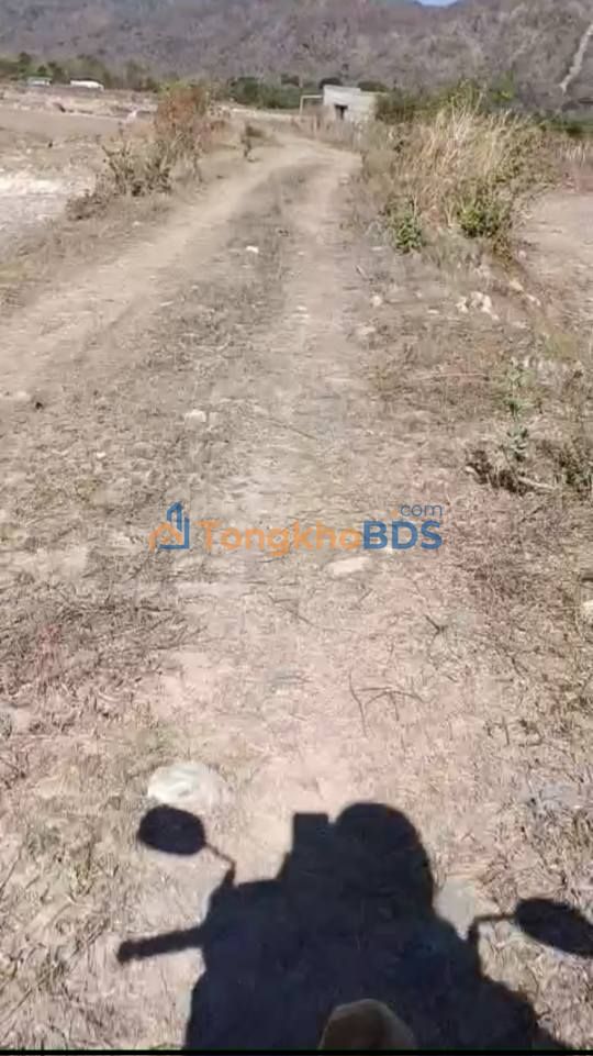 Bán Đất Vườn 15000m² Sổ Hồng Riêng Hàm Phú, Bình Thuận - Giá Đầu Tư 850 Triệu