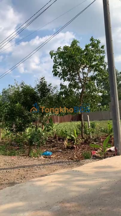 Đất nền Trảng Bom - Mặt tiền nhựa thông 5x23m - Sổ hồng thổ cư