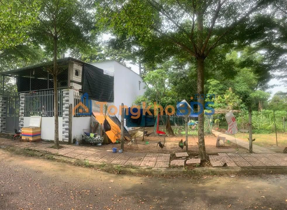 Bán Đất Tặng Nhà Tam Phước, Đồng Nai - 553m² Kinh Doanh Dòng Tiền 3.35 Tỷ