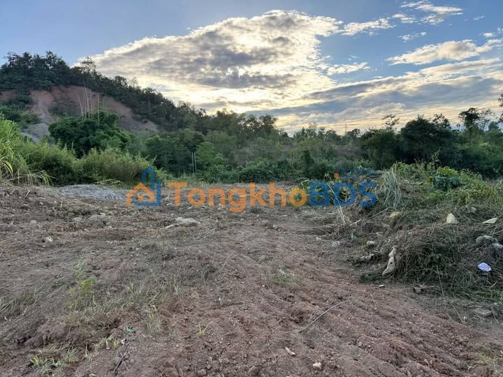 Bán Gấp Đất Vườn 1.3ha Xã Mường Lói, Điện Biên - Giá Đầu Tư 2 Tỷ