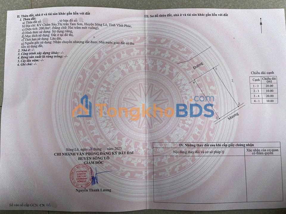 Đất nền Tam Sơn, Từ Sơn 200m² - Sổ đỏ giao đất, giá chỉ hơn 1 tỷ