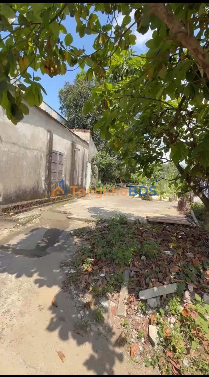 Đất Nền Điện Nam Bắc 132m² - Sổ Đỏ ODT, Gần Đường 607, Giá Đầu Tư Tốt