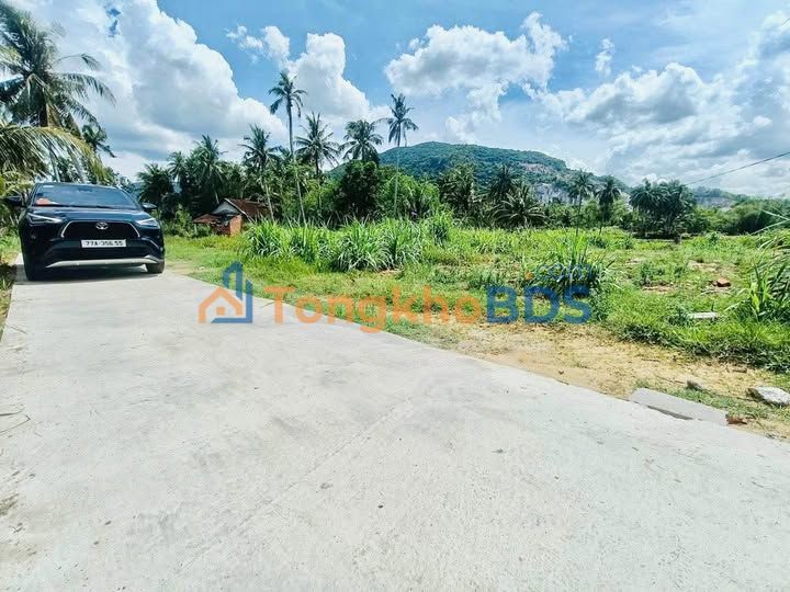 Đất thổ cư Phù Mỹ 150m² - Sổ hồng sẵn, giá chỉ 149 triệu