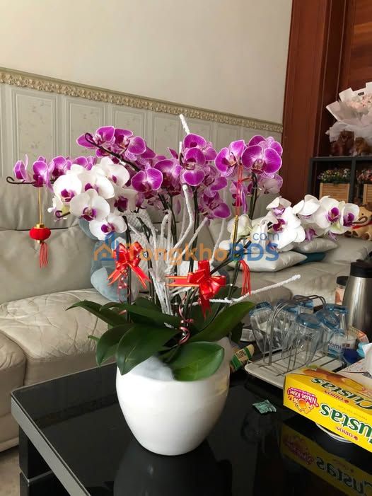 Nhà Mặt Tiền Mai Xuân Thưởng Quy Nhơn 95.88m² - Giá 13 Tỷ