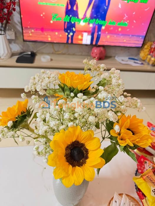 Đất Nền Phù Mỹ, Bình Định - Sổ Đỏ Thổ Cư, Giá Chỉ Từ 139 Triệu/Lô