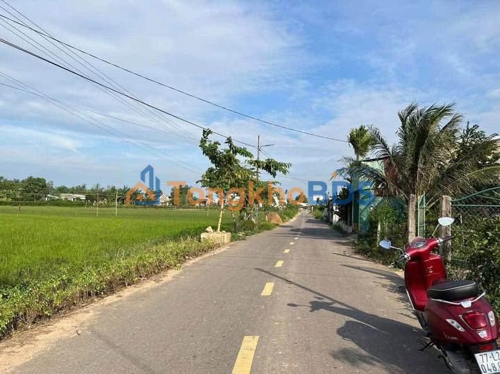 Bán Đất Nền Tuy Phước 50m² Sổ Đỏ Từng Lô - Giá Chỉ 3xx Triệu
