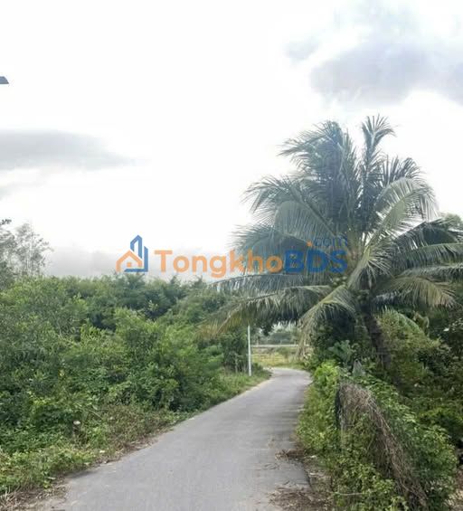 Đất nền Vân Phong 1815m² - Liền kề Sun Group, giá chỉ 4tr/m²