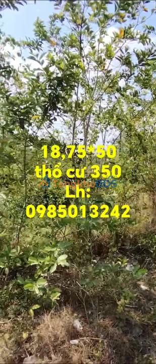 Đất Mặt Tiền QLộ 1A Mỹ Xuyên Sóc Trăng - Ngang 18.75m - 190 Tỷ