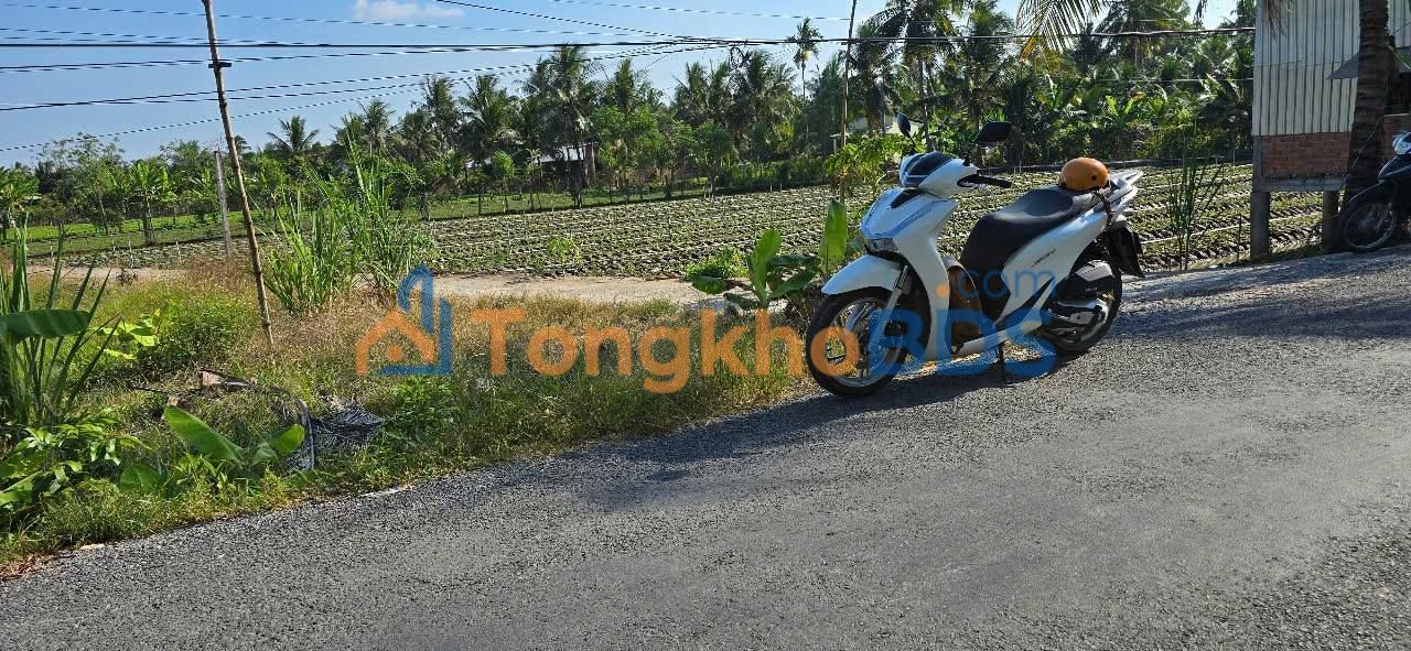 Đất nền Xã Long Hưng, Châu Thành - 490 Triệu/Nền, Thổ Cư Sẵn Sàng