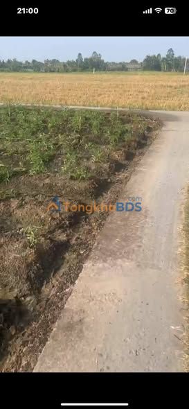 Đất nền Gò Công Đông, Tiền Giang - Giá chỉ từ 170 triệu, Sổ hồng sẵn sàng