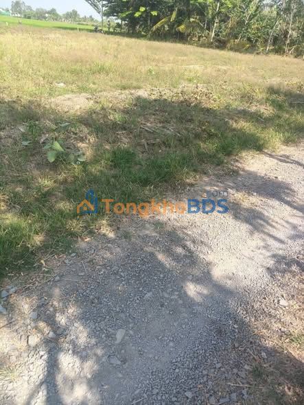 Bán Gấp Đất Nền 1071m² Gò Công Tây, Tiền Giang - Giá 650 Triệu