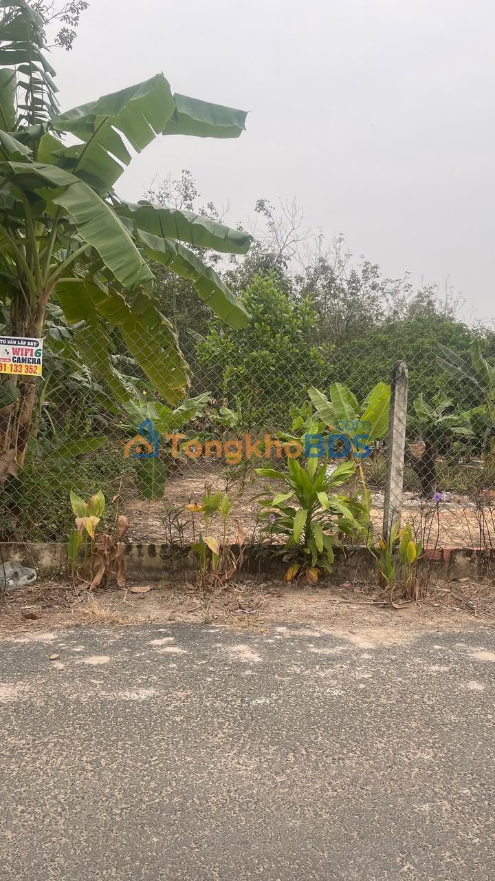 Bán Gấp Đất Thạnh Tây Tân Biên 350m² - Sổ Hồng Thổ Cư 100%