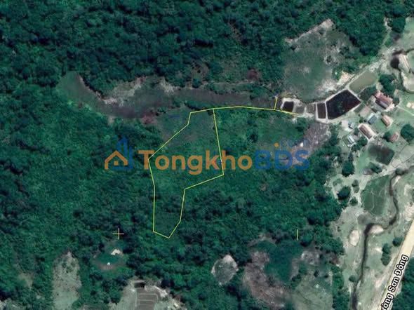 Bán Gấp Đất Vườn Kon Tum 2520m² - Sổ Đỏ Sẵn Sàng