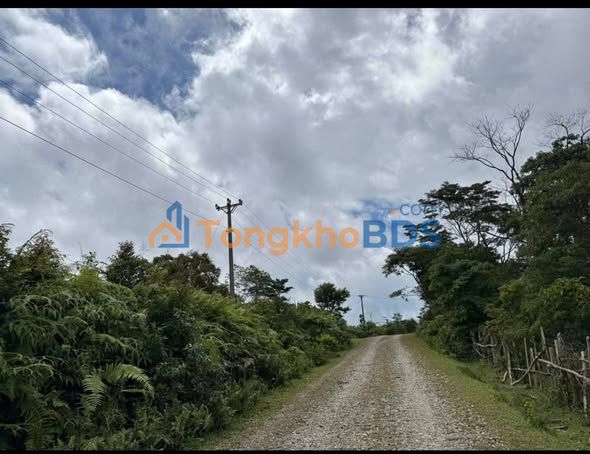 Đất Nền Măng Đen 1000m² Sổ Hồng Riêng - Giá Đầu Tư 2 Tỷ