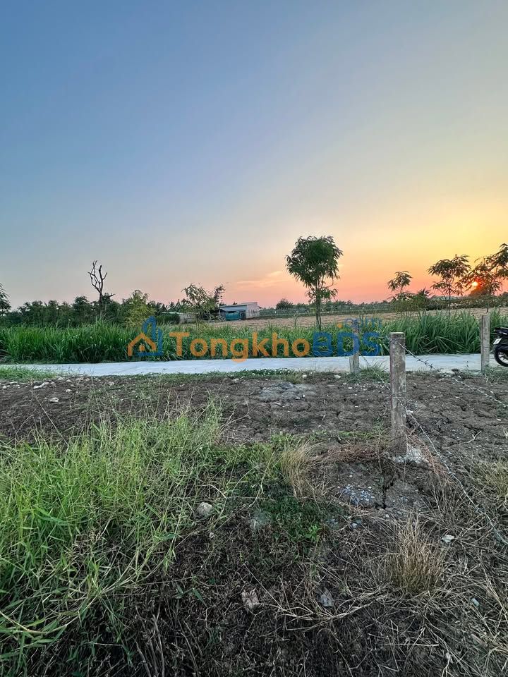 Bán Đất Thổ Cư 135m² Mặt Đường Bê Tông Gò Công - Sổ Hồng Sẵn Sàng