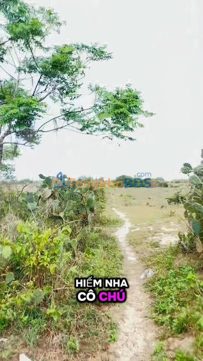 Homestay Mặt Tiền Biển Mỹ Khê, Quảng Ngãi - Diện Tích Lớn, Sẵn Sàng Kinh Doanh