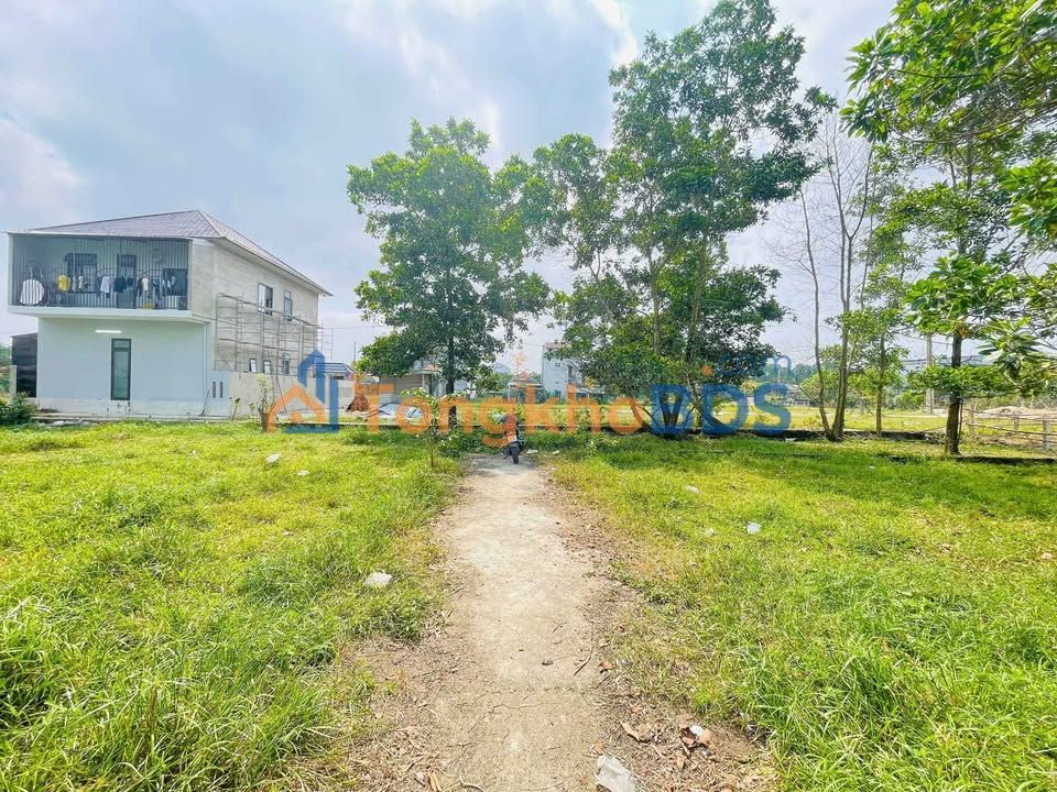 Đất 98m² Tôn Thất Sơn, Huế - Kiệt Oto, Sổ Đỏ Sẵn Sàng