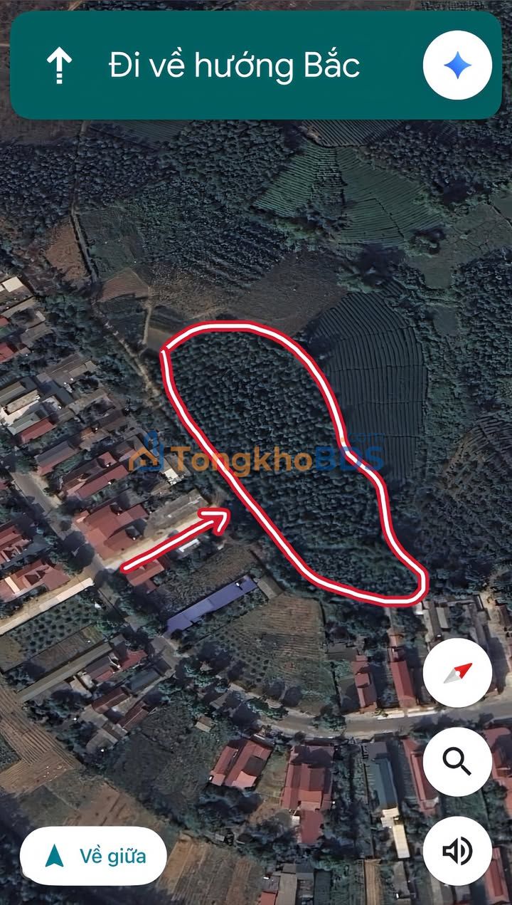 Bán Đất Trang Trại Rộng 10.000m² Tại Thanh Sơn, Phú Thọ - Chính Chủ, Giá Tốt