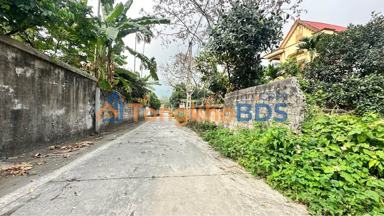 Đất Vàng Ba Vì 500m² (150m² Đất Ở) - Sẵn Sàng Đầu Tư