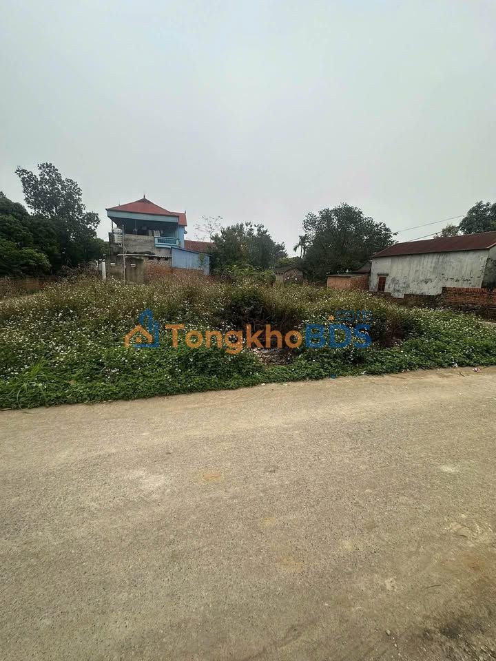 Đất Sóc Sơn 100m² - Sổ Hồng Vuông Vắn, Ngay Đường Ô Tô Tránh