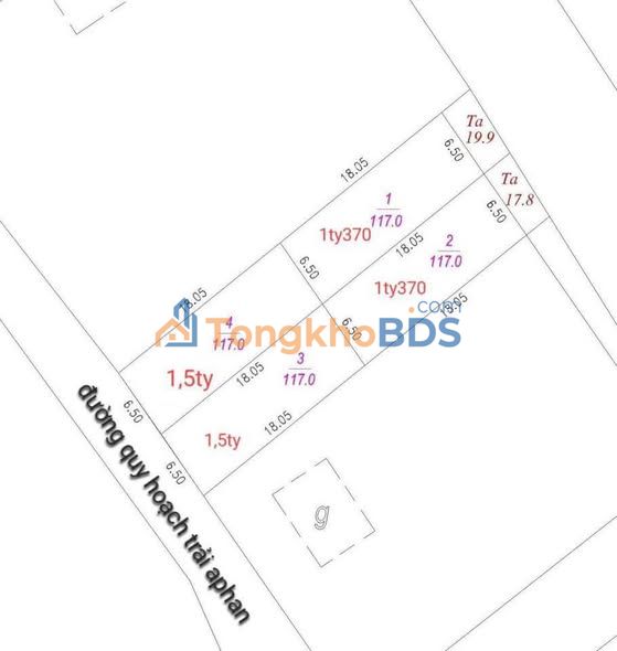 Đất Nền Trung Tâm Triển Lãm Thủy An, Hậu Giang - 100m² Mặt Tiền Đường Nhựa