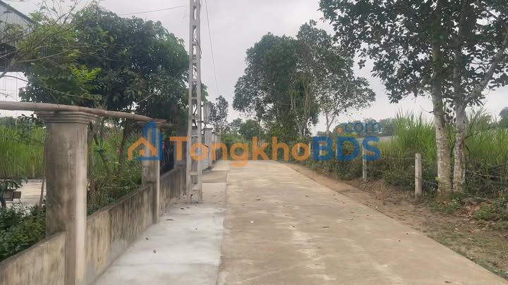 Đất Nền Hưng Nguyên Nghệ An - 168m² Bám Đường Bê Tông, Dân Cư Đông Đúc