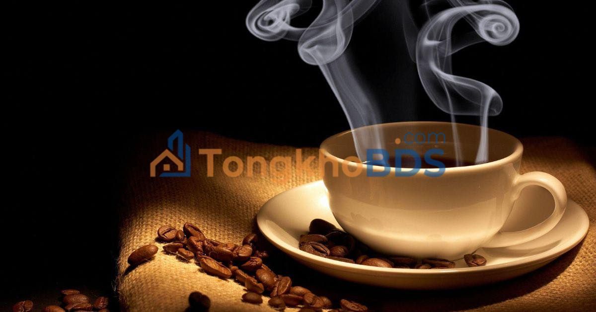 Cho thuê mặt bằng kinh doanh KDC Công viên Mini, Đà Nẵng - Giá ưu đãi khởi nghiệp