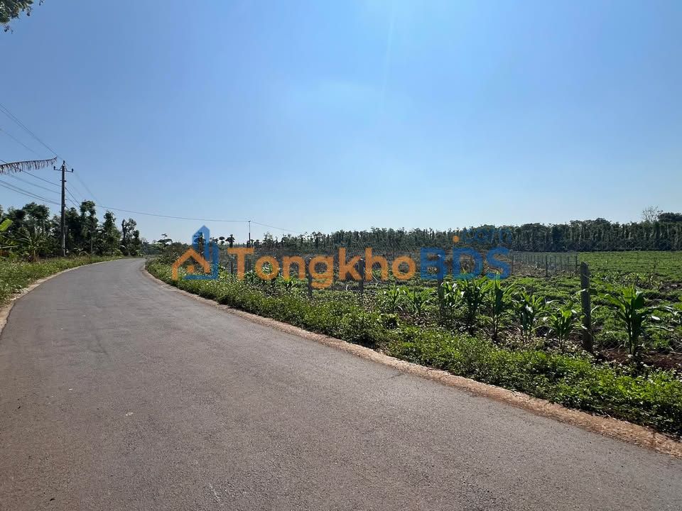 Đất Nền Đắk Lắk - 5000m² Mặt Tiền Nhựa, Sổ Hồng Full, Giá 2.2 Tỷ