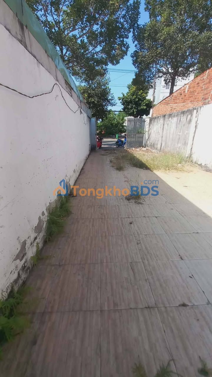 Nhà Cấp 4 Mặt Tiền Đường Nhựa Tân Hưng, Bà Rịa - Sân Rộng, 5 Triệu/Tháng