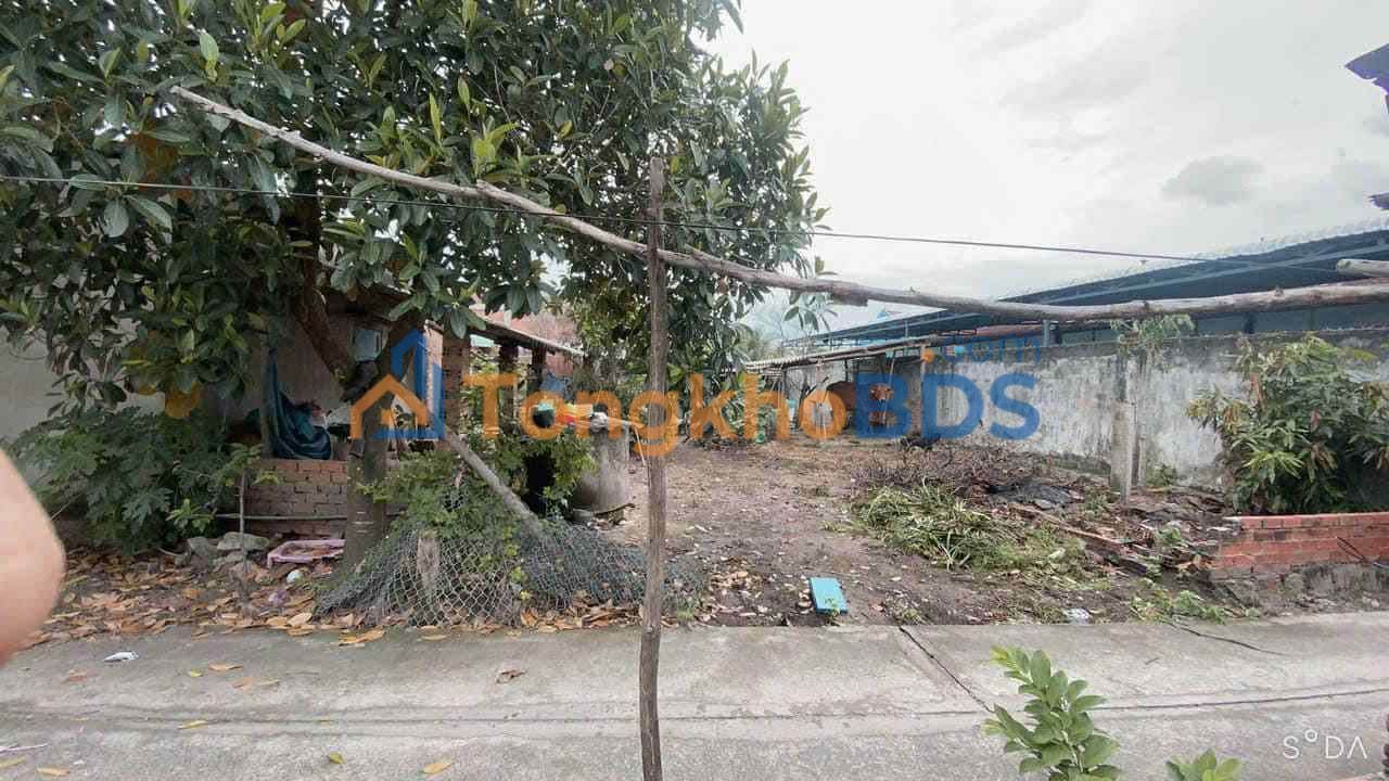 Bán Gấp Đất Phước Hội Long Đất 126m² - Giá 950 Triệu