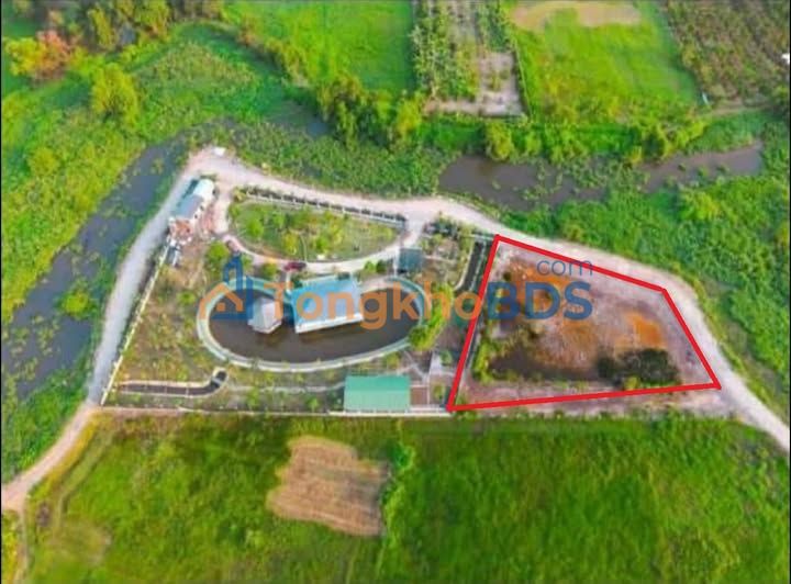 Đất Vườn Củ Chi 1800m² Mặt Tiền Đường 463 - Sổ Hồng Sẵn Sàng