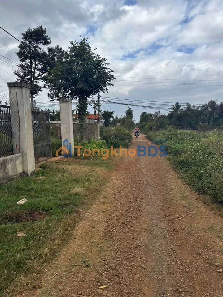 Bán Đất Cư Bông 170m² - Sổ Hồng Sẵn Sàng, Giá 595 Triệu