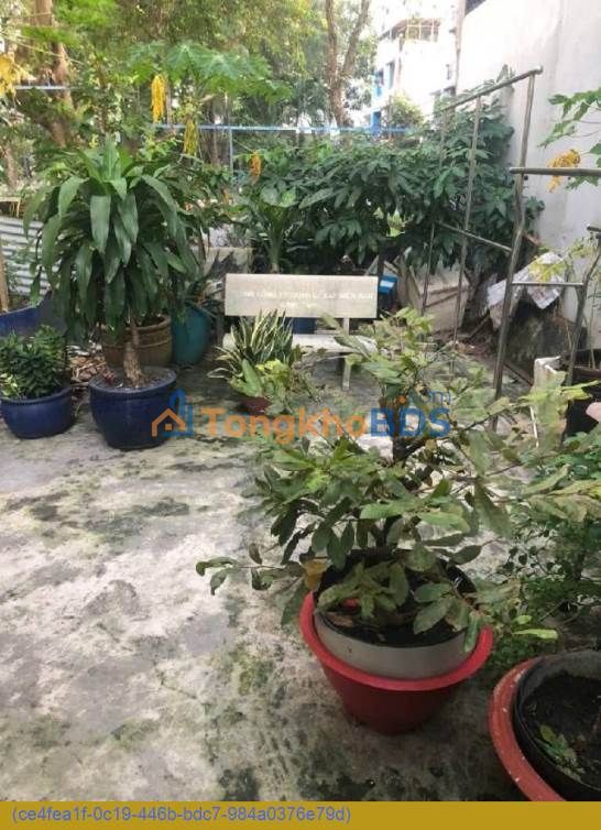 Nhà Mặt Tiền Kinh Doanh Khiếu Năng Tĩnh, Bình Tân - 113m² - 11 Tỷ