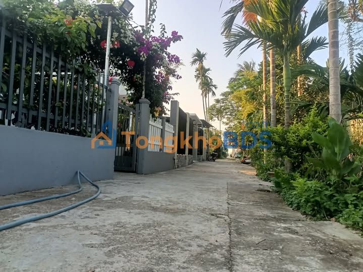 Đất Nền Điện Minh Quảng Nam - 110m² Gần Siêu Thị Go, Giá Tốt