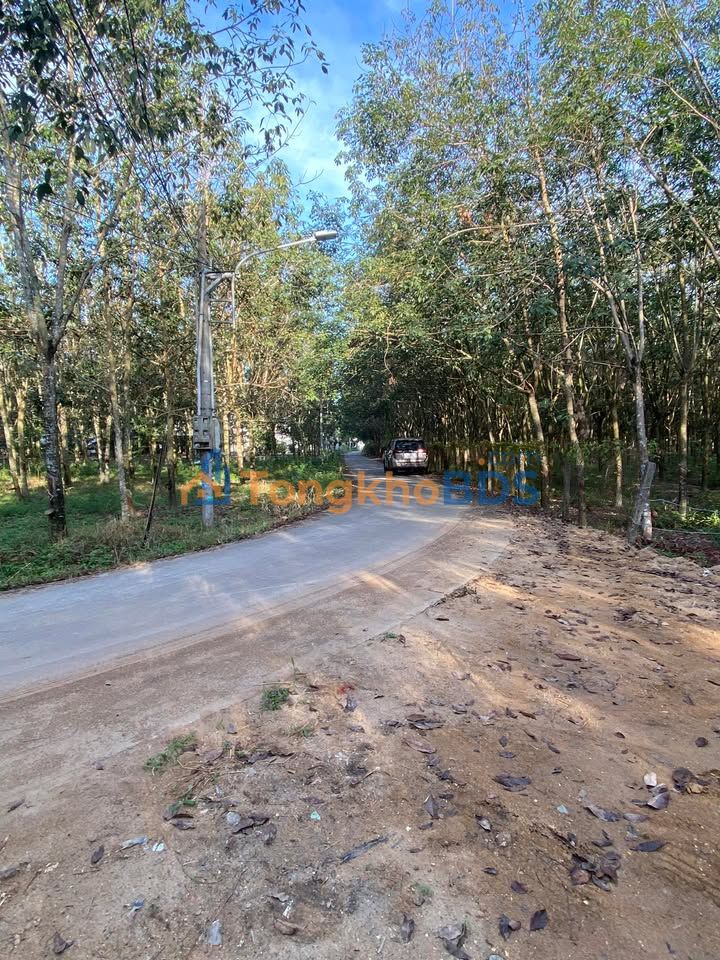 Đất nền F0 Bàu Bàng, Bà Rịa - Vũng Tàu - 225m² - Giá tốt đầu tư