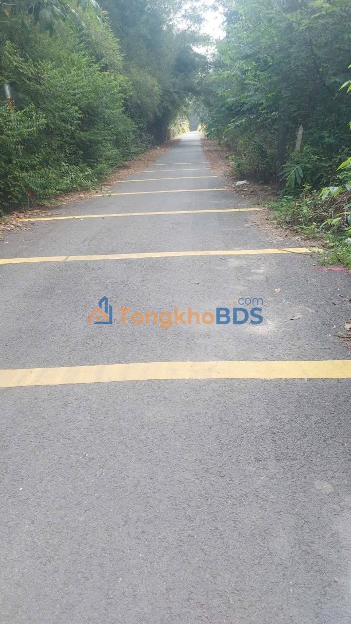 Đất Thổ Cư 1200m² TDM, Bình Dương - Gần KCN Giai Sâm, Sổ Hồng Sẵn