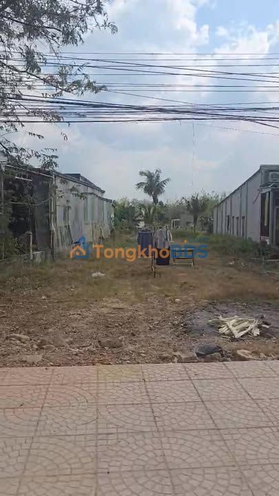 Đất Vàng Bình Mỹ, Bắc Tân Uyên - 506m² (200m² Thổ Cư) - Sổ Sẵn