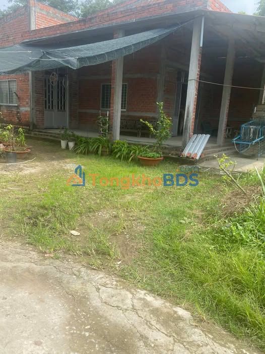 Bán Đất 508m² Xã Tân Thanh Tây, Bến Tre - Giá 1.5 Tỷ