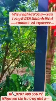 Đất Nền Long Thành 1000m² Sổ Hồng - Vượng Khí Đón An Yên