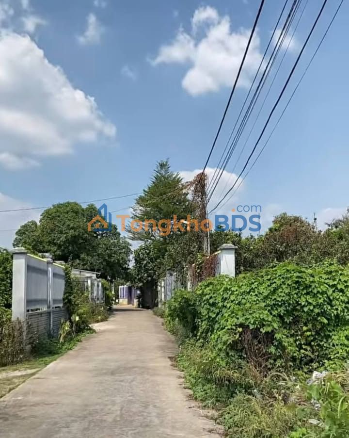 Đất Vườn 338m² view sông - Vĩnh Cửu, Đồng Nai - Giá 3 Tỷ - Sẵn Sổ