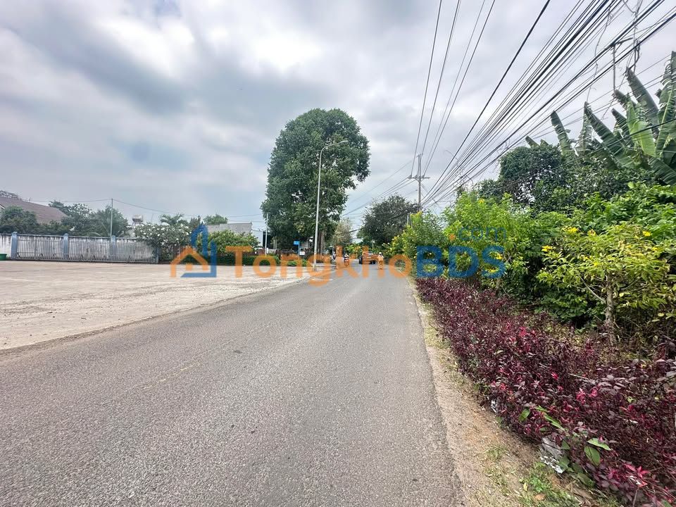 Đất Nền Sổ Hồng Thổ Cư 110m² Phường Long Bình Tân, Biên Hòa - Giá 700 Triệu