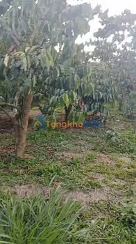 Đất Nền 13000m² Xã Phúc Thọ, Lâm Hà - Sổ Đỏ Sẵn Sàng, Giá Đầu Tư