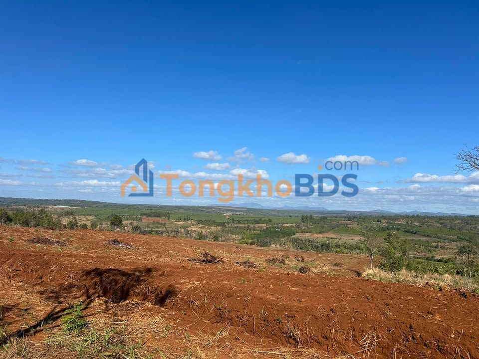 Bán Gấp 22.000m² Đất Vườn Gia Lai - Sẵn Hồ, Sổ Đỏ Rõ Ràng