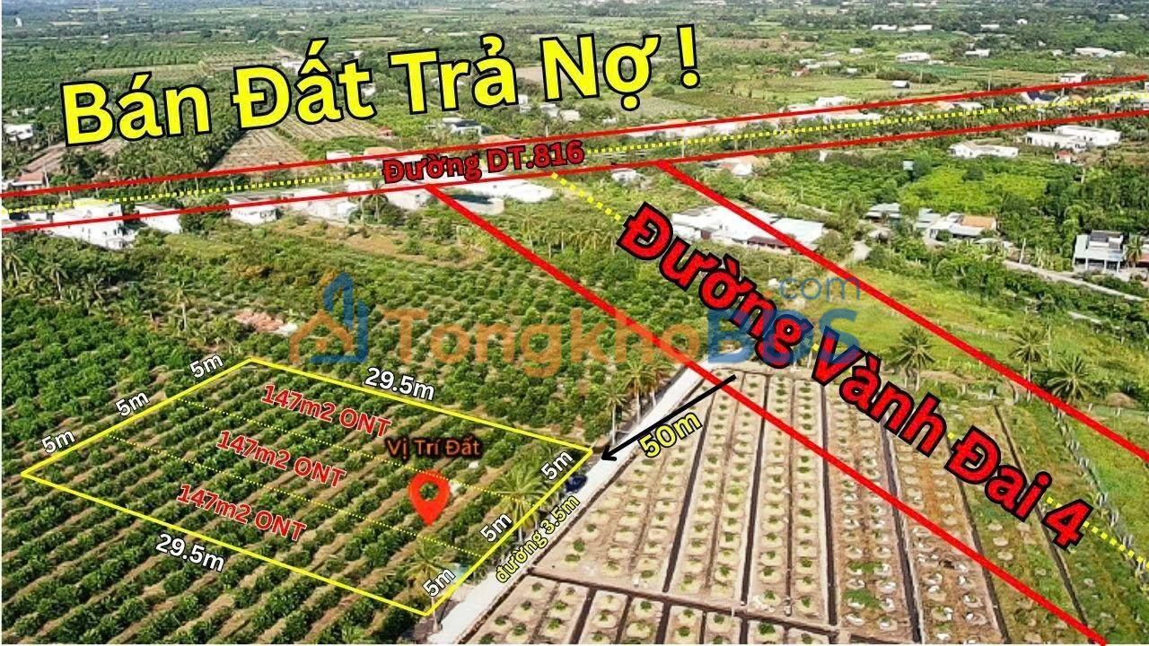 Đất Thổ Cư Bến Lức 147m² - Sổ Hồng Riêng, Cách Vành Đai 4 50m