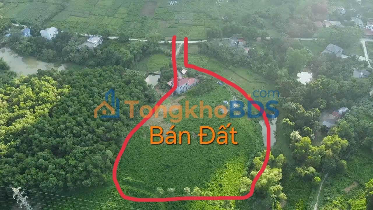 Đất Nghỉ Dưỡng 6000m² Sổ Hồng ONT - Lương Sơn, Hòa Bình - Chỉ 4 Tỷ