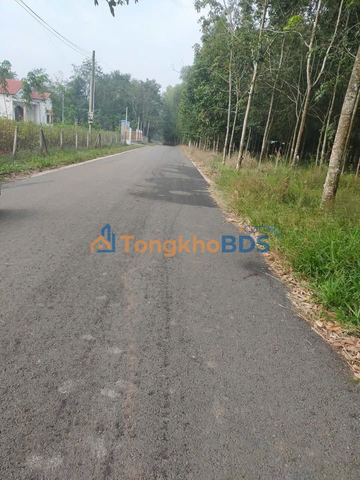 Đất nền Minh Tân, Tây Ninh - 250m² Đường nhựa, Gần Chợ, Trường học - Giá chỉ 4xx Triệu