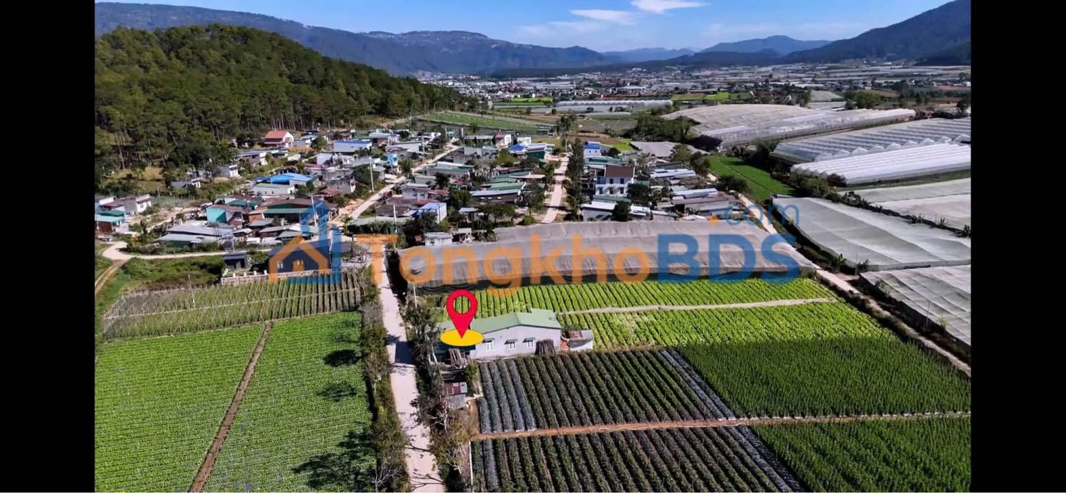 Đất Nền D'Ran, Lâm Đồng - Sổ Hồng Sẵn, Giá Chỉ Hơn 300 Triệu/Lô