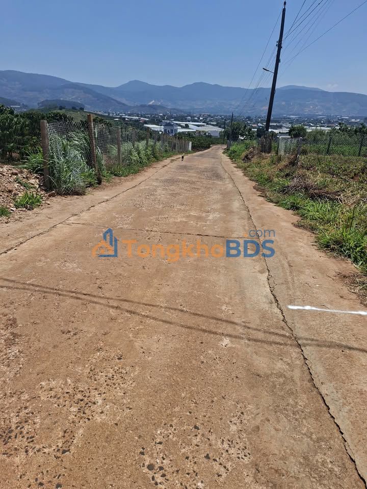 Đất thổ cư 204m² Nam Ban, Lâm Hà - Sổ đỏ sẵn, giá chỉ 799 triệu